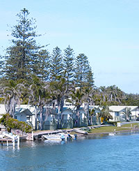 Dunleith Tourist Park is centrally located to the many activities and attractions of the Central Coast including boat cruises and hire, fishing, restaraunts, cafes, shops, beaches, bowling and golf clubs and so much more
